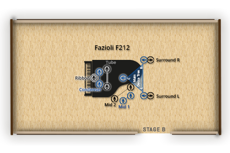 Synchron Fazioli F212 - Opname-instellingen